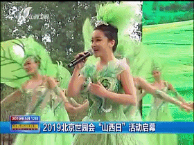 13.gif